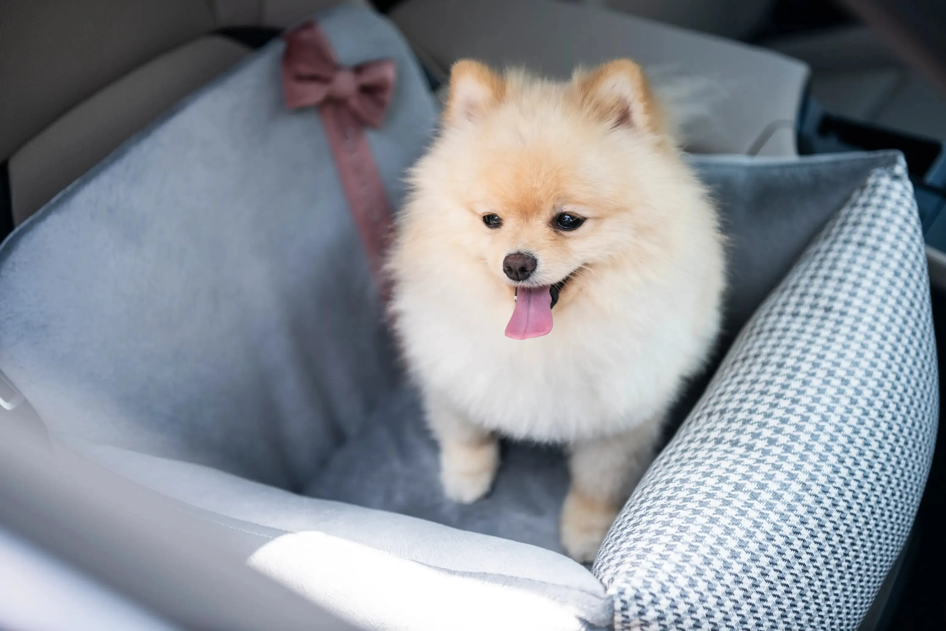 Oh Charlie Dog Car Seat Bed Finessa