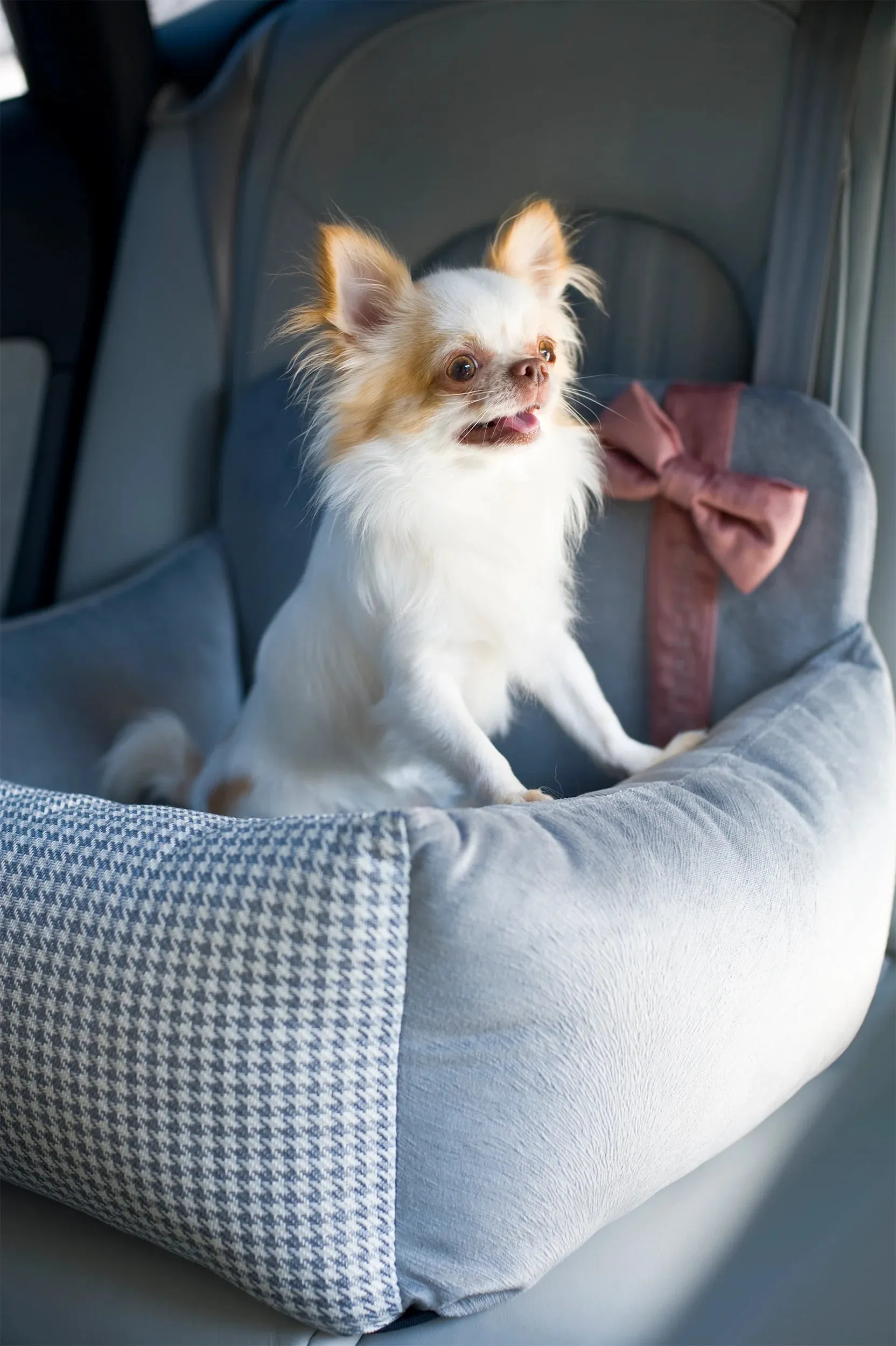 Oh Charlie Dog Car Seat Bed Finessa