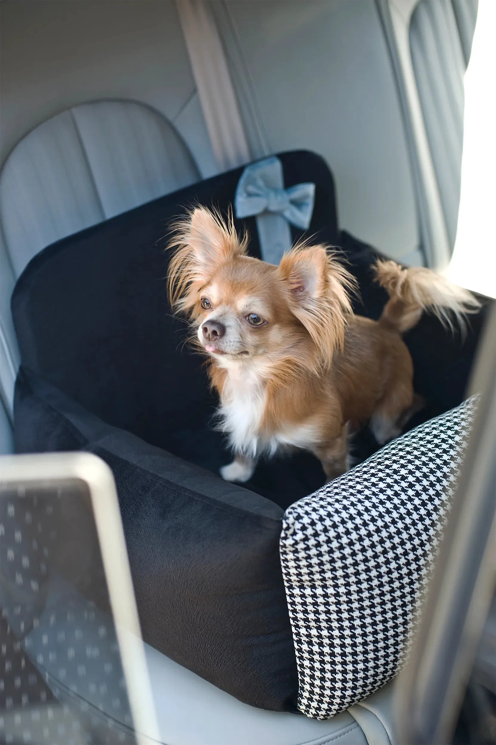 Oh Charlie Dog Car Seat Bed Finessa