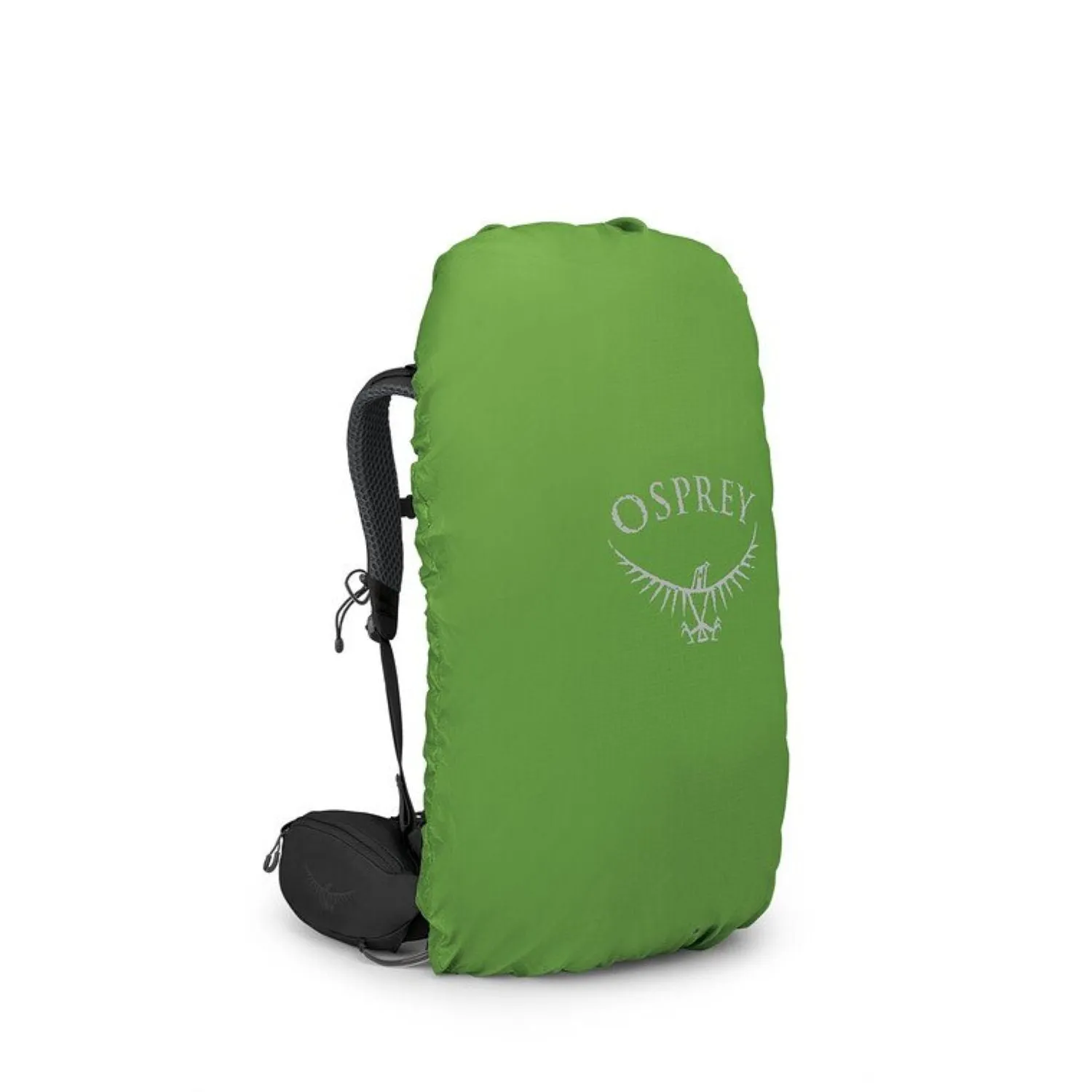 Osprey Kestrel 38 Backpack - Large/Extra Large - Backpacking