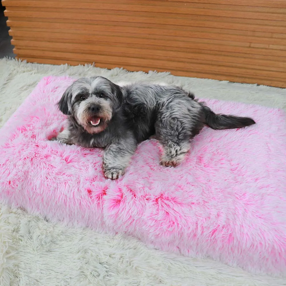 PAWS ASIA Wholesale Modern Memory Foam Removable Zipper Rectangle Cat And Dog Beds