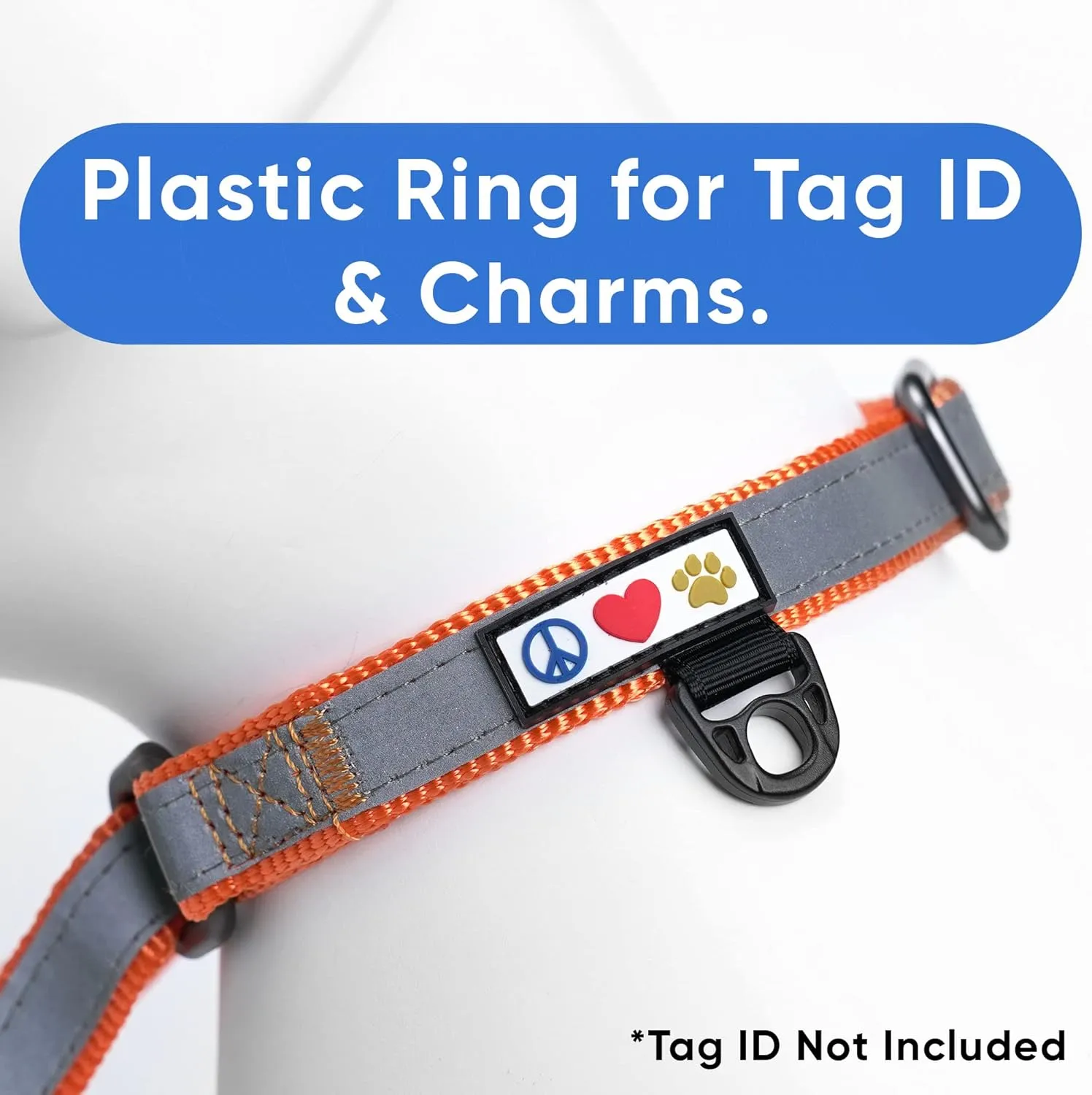 Pawtitas Personalized Martingale Dog Collar With Name, Phone Number - Reflective, Customized for Small Dogs | Orange