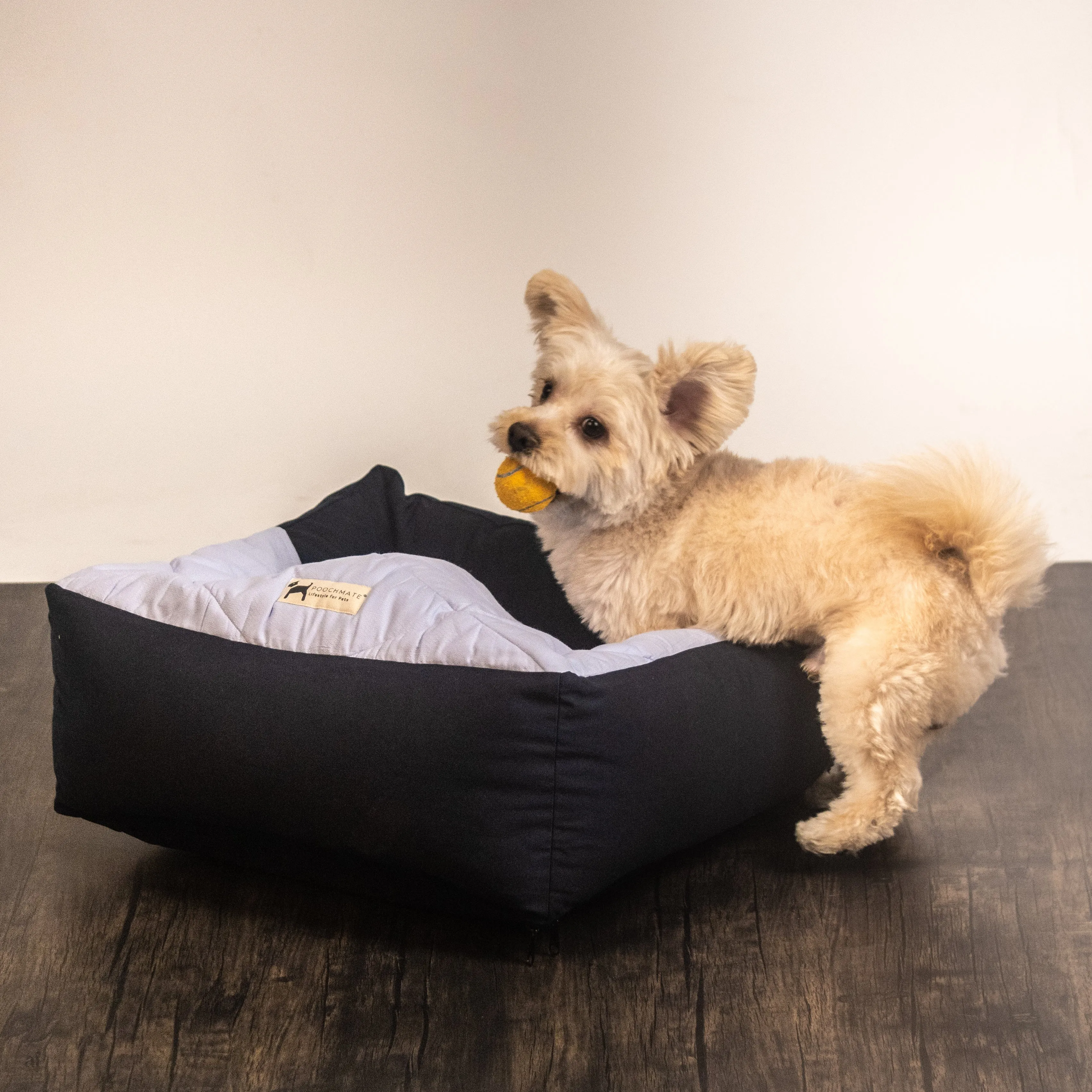 PoochMate Nesting Cat and Puppy Bed : Dreamscape Blue