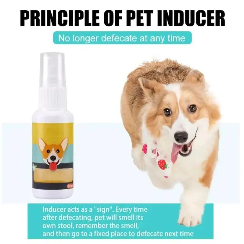 Portable Pet Puppy Training Toilet