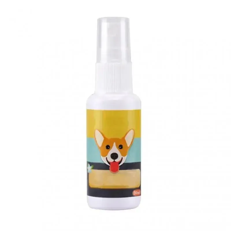 Portable Pet Puppy Training Toilet