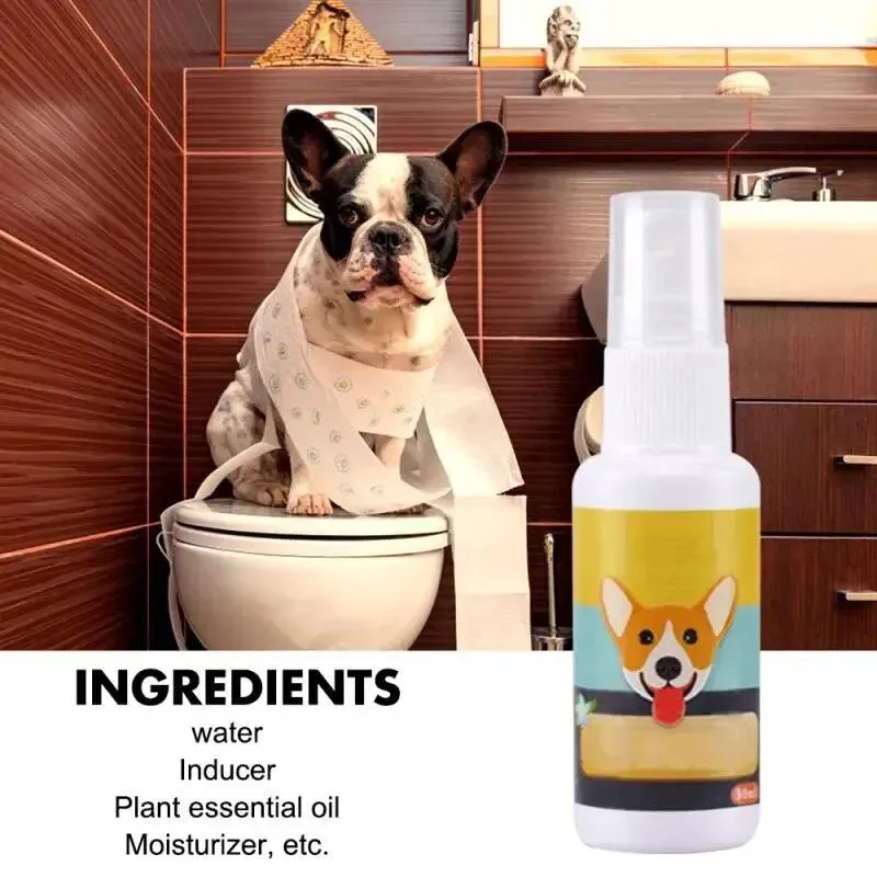 Portable Pet Puppy Training Toilet