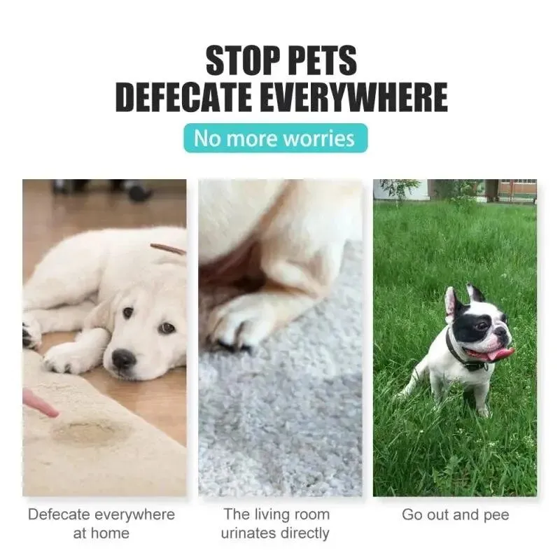 Portable Pet Puppy Training Toilet