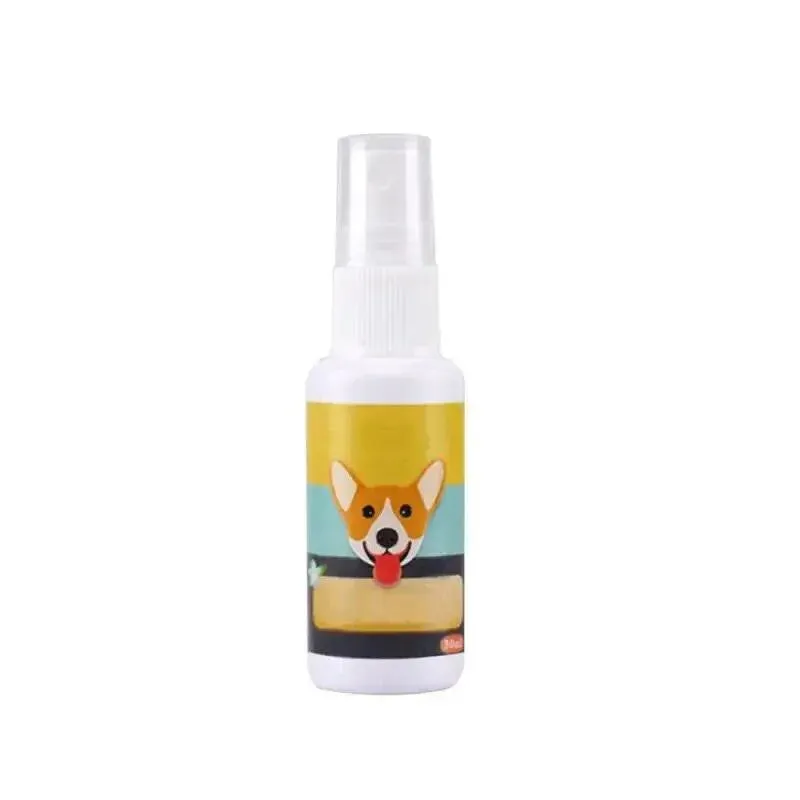 Portable Pet Puppy Training Toilet