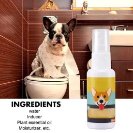 Portable Pet Puppy Training Toilet