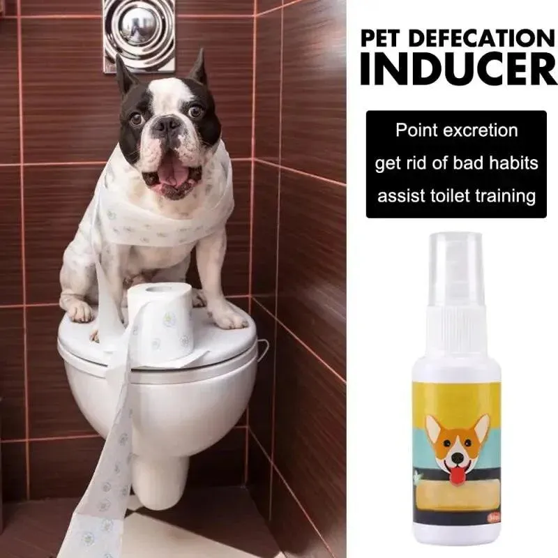 Portable Pet Puppy Training Toilet
