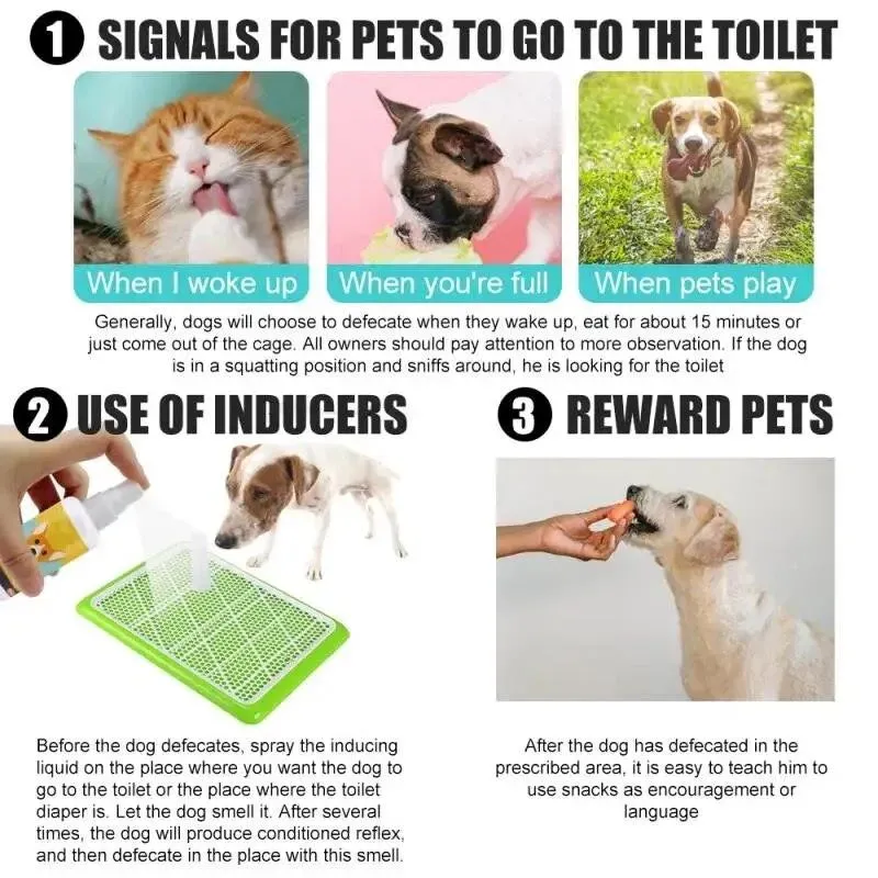 Portable Pet Puppy Training Toilet