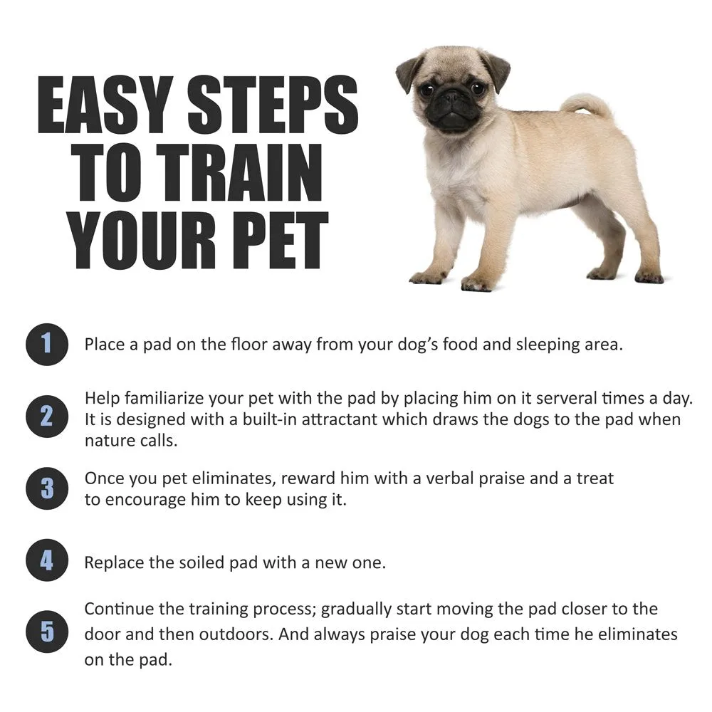 Puppy Pads Leak-Proof 100 Count 22"x 22" | Pee Pads for Dogs Quick Absorb 6-Layer- Dog Pee Pads- Dog Pads 100 Pack- Potty Pads for Dogs- Puppy Pee Pads, Pee Pad Training Pads for Dogs, Pet Pee Pads