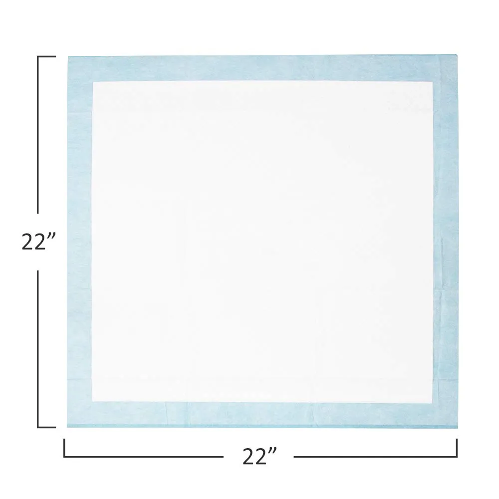 Puppy Pads Leak-Proof 100 Count 22"x 22" | Pee Pads for Dogs Quick Absorb 6-Layer- Dog Pee Pads- Dog Pads 100 Pack- Potty Pads for Dogs- Puppy Pee Pads, Pee Pad Training Pads for Dogs, Pet Pee Pads