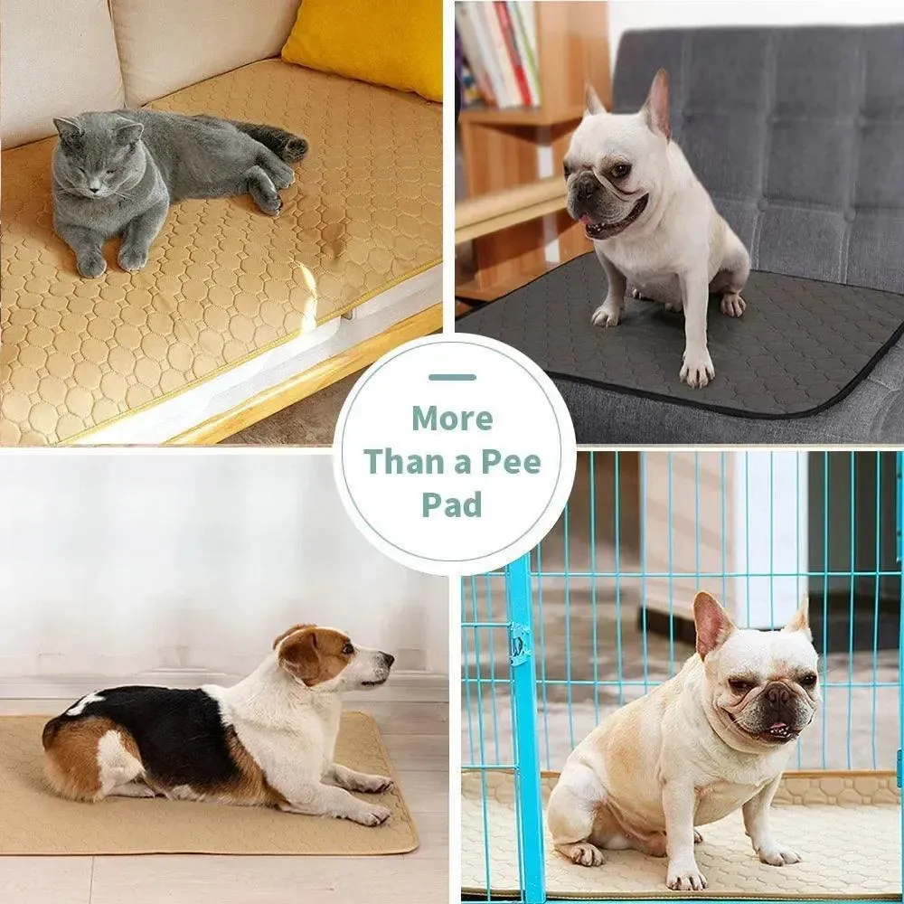 Reusable Dog Toilet Mat