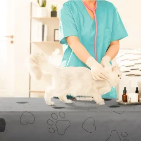 Reusable Puppy Pads
