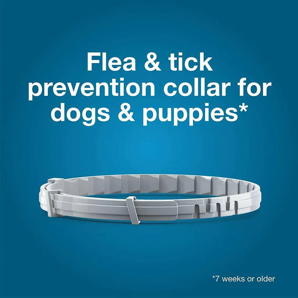 Seresto Flea & Tick Collar for Dogs, over 18 lbs   Flea & Tick Collar for Dogs, up to 18 lbs