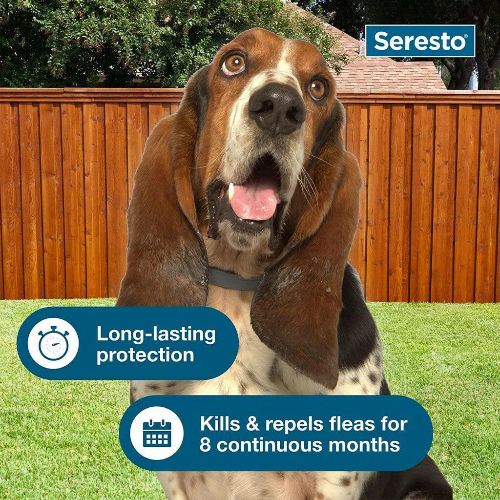 Seresto Flea & Tick Collar for Dogs, over 18 lbs   Flea & Tick Collar for Dogs, up to 18 lbs