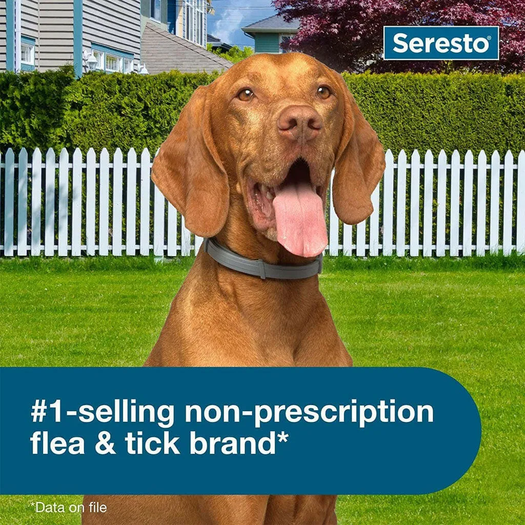Seresto Flea & Tick Collar for Dogs, over 18 lbs   Flea & Tick Collar for Dogs, up to 18 lbs