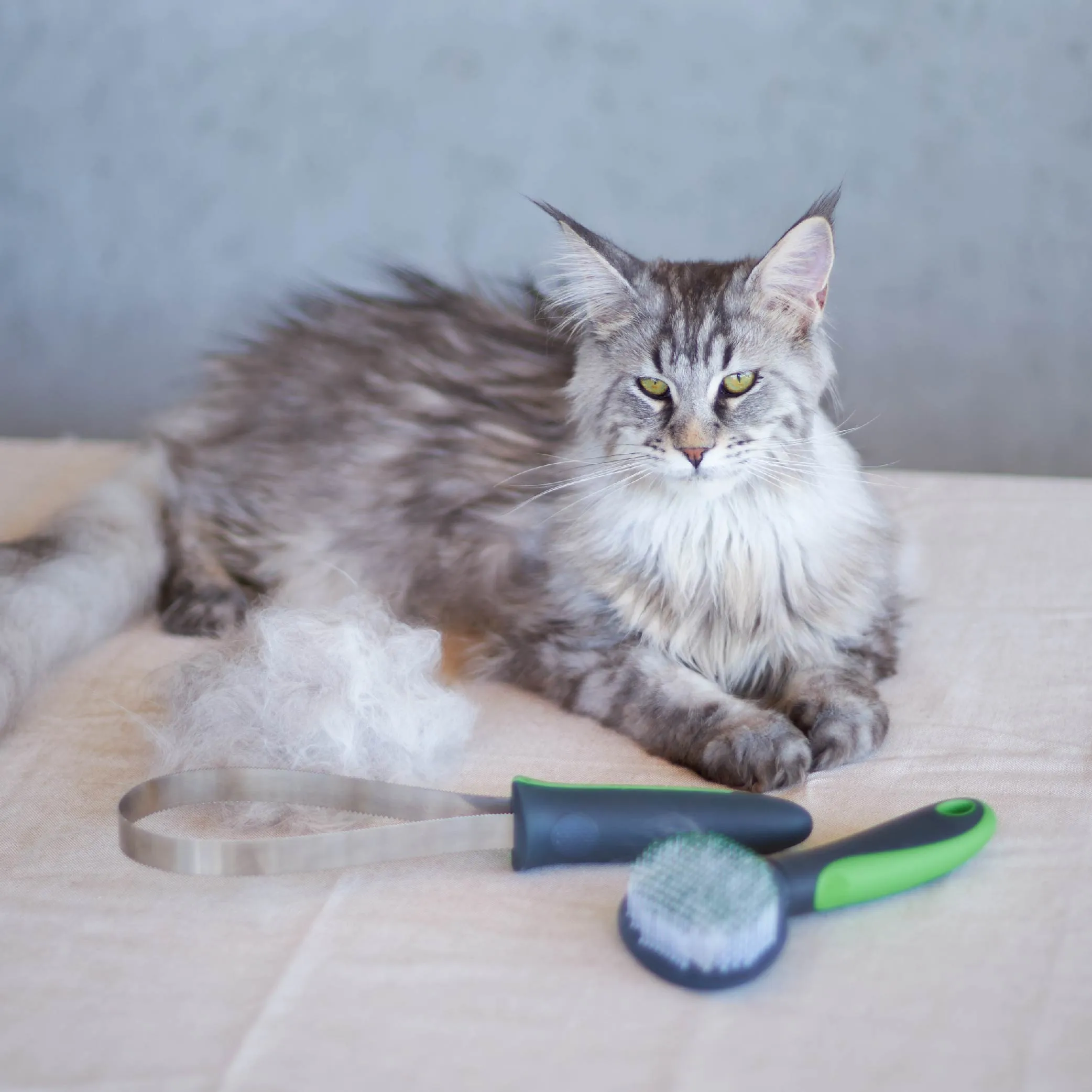 Shedding Tool