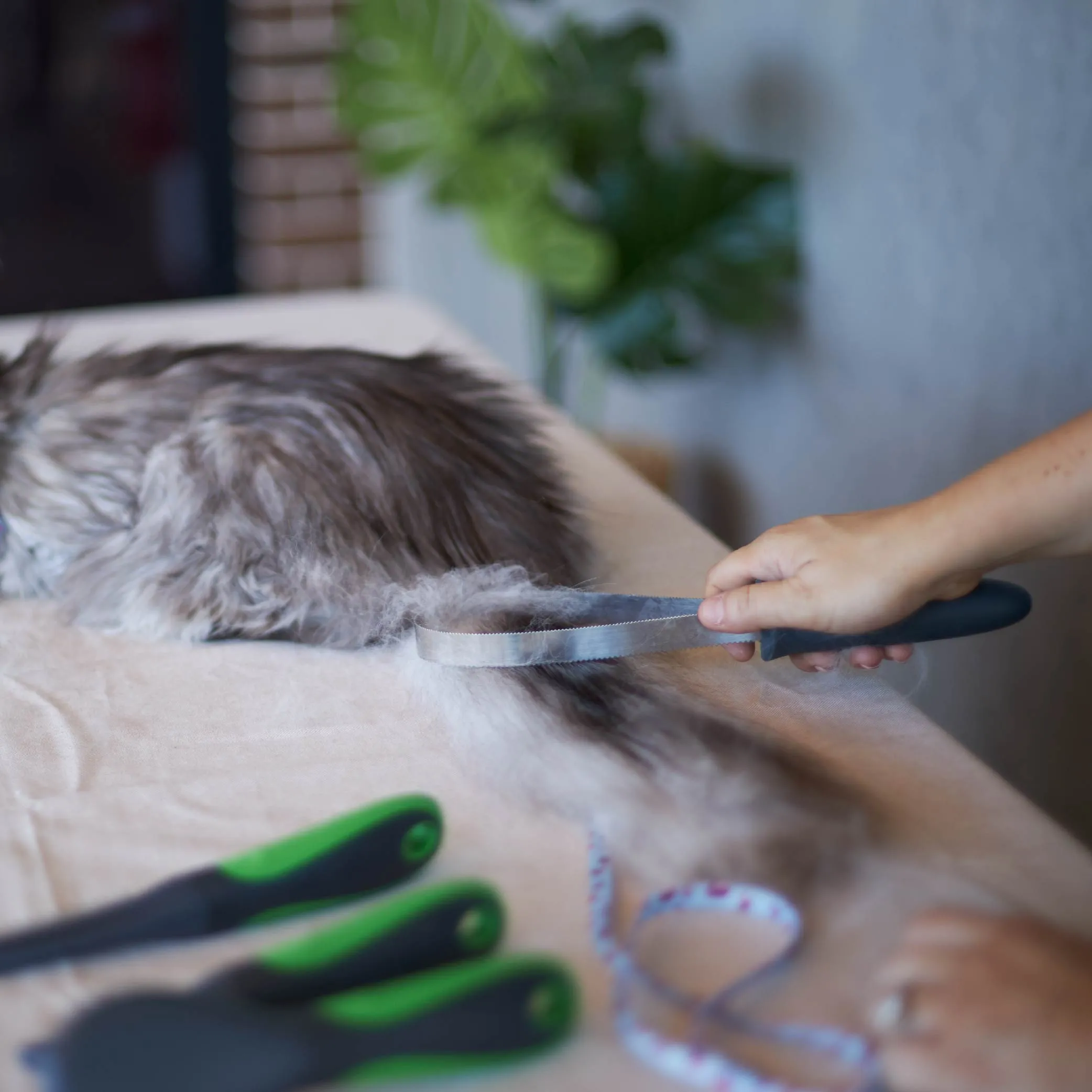 Shedding Tool