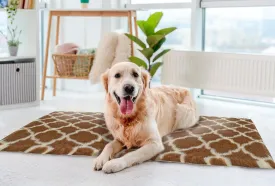 Van Ness Pets Vetbed Dog Bed, Crate Mat, Cat Pad, Non-Slip, Machine Washable, Self Warming, 39.5" x 29.5"